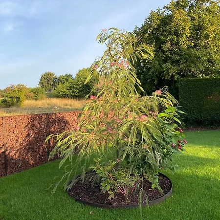 La Maison D'arc Frasnes-lez-Anvaing