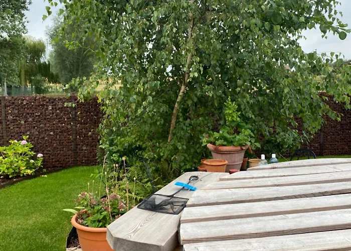 Frühstückspension La Maison D'arc Frasnes-lez-Anvaing